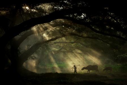 © James Chong  courtesy of Sony World Photography Awards 2011