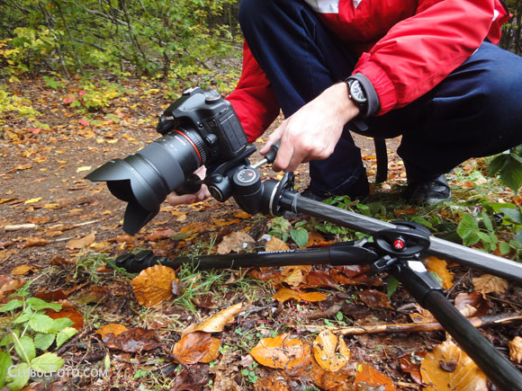 Cu Manfrotto 190CXPRO3 la fotografie macro