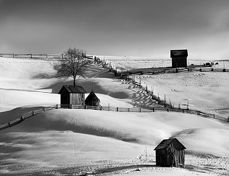 Bucovina