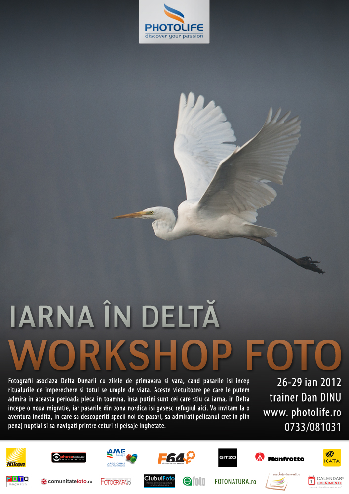 Iarna in Delta