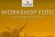 Workshop foto cu Dan Dinu la Timisoara