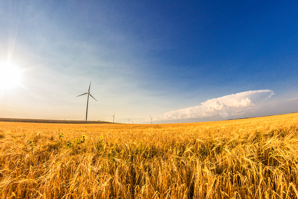 „Vacanta in Dobrogea” de Auras Mihaiu