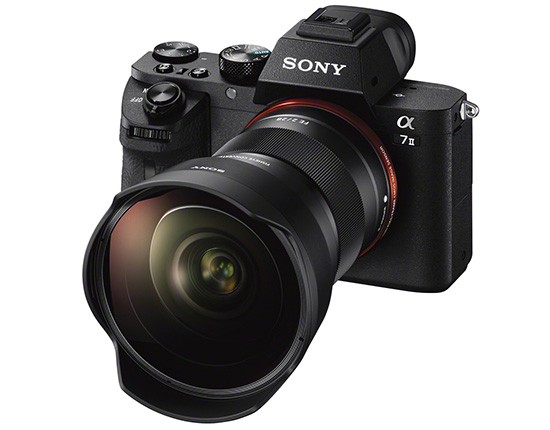 Sony A7 cu convertorul fisheye