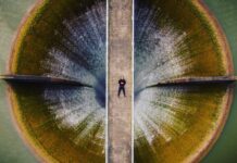 Huia dam New Zealand by Brendon Dixon