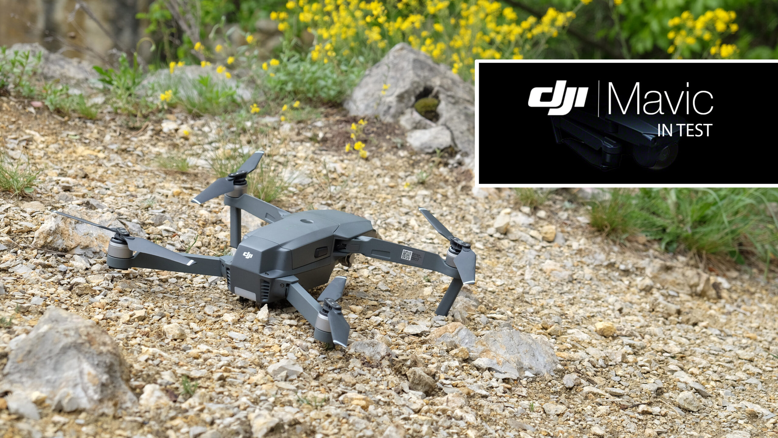 dji-mavic-in-test